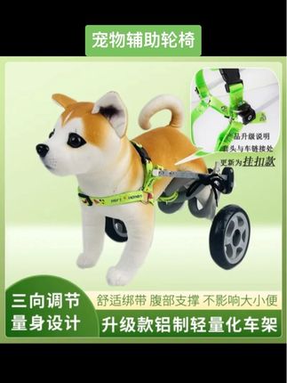 #宠物辅助轮椅 #养宠必备 残疾狗轮椅后肢宠物助力车老年狗瘫痪前肢辅助代步后腿猫咪助行车#科学养宠 #猫咪助行车 #残疾狗轮椅