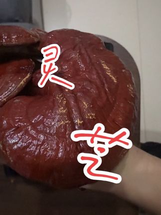 #一般人不知道是什么 #灵芝山货  一