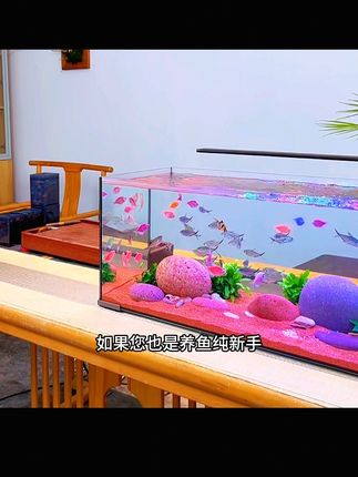 养鱼 就一步到位选个高配,双过滤双出水,滤材带景观都配齐#养鱼养心 #超白鱼缸 #鱼缸里的大自然 #鱼缸