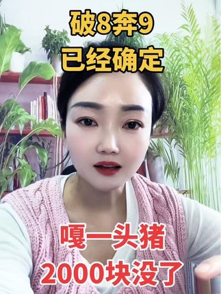 嘎一头猪2000块钱没有了#养猪人 #三农养殖业 #养猪致富 #自繁自养 @抖音小助手 @DOU+小助手 @DOU+上热门