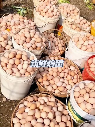 山林散养土鸡蛋,当天捡,当天发,水煮蛋很香,蛋白Q弹,蛋黄细腻软糯。#土鸡蛋 #农家散养土鸡蛋 #营养又好吃 #优质农产品