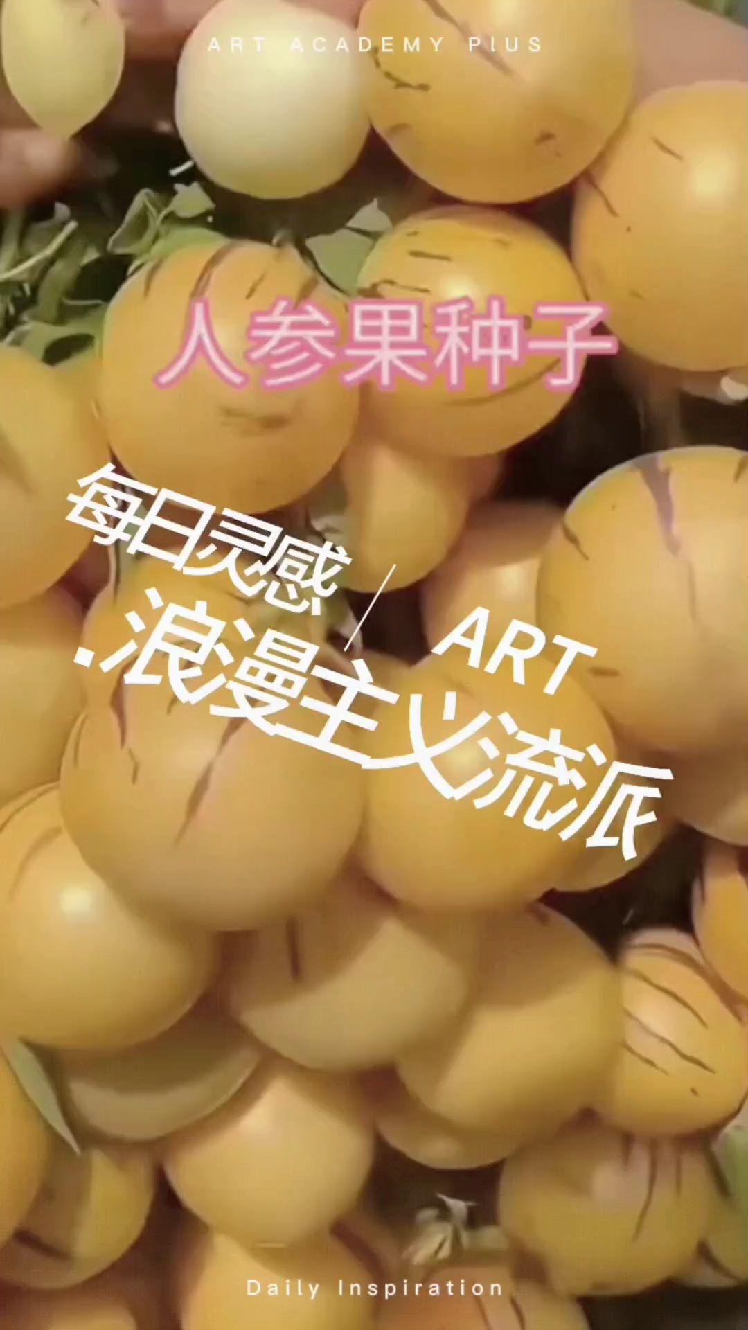 【人参果种子】家庭小院盆栽地栽四季种植#人参果 #农业种植 #优质农产品 #种子