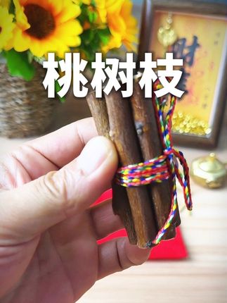 桃木枝东南老桃树#桃木枝 #桃树枝 #五色线寓意