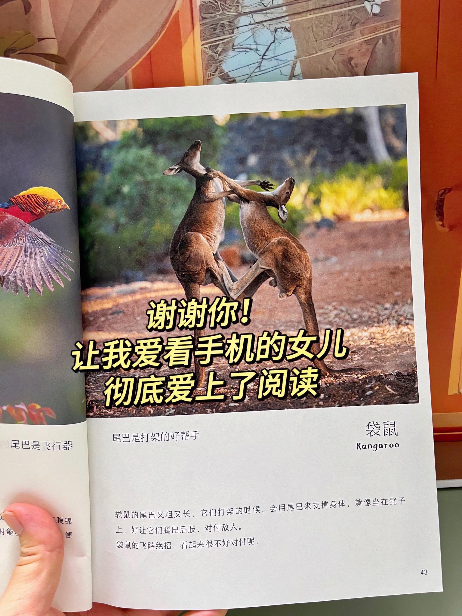 哇!一整本高清大图小自然纪录片。真实还原大自然的每一个精彩瞬间!3岁就能看的自然百科书。 被科普喂大的孩子,眼界、能力、思维都会大不一样!#科普知识#大自然科普#亲子阅读#童书推荐