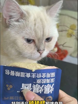 小猫吃到卫仕爆爆全系列只要29.9,要知道每一个品单买都是要十多二十块的,这个礼包不要太划算了#卫仕 #卫仕爆爆 #猫粮推荐 #猫咪零食 #养猫人