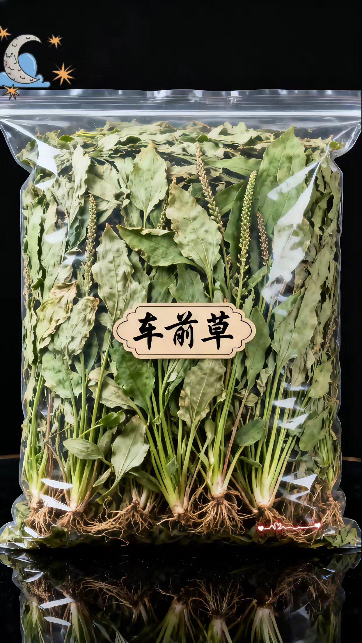 车前草#日常分享 #必备好物 #每日分享 #车前草#健康