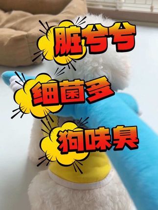 一瓶就行!养狗的狗臭细菌脏兮兮等难题,就用摩啃升级版除臭剂!,#宠物除臭喷雾 #狗狗除臭喷剂 #萌宠好物推荐
