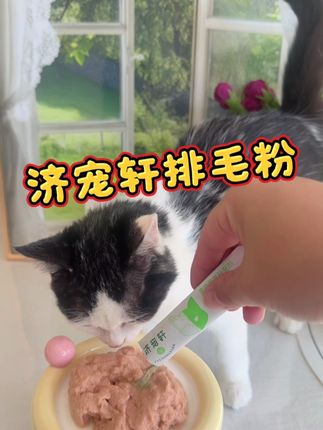 想要猫咪温和排毛,就选济宠轩这个24小时排毛粉#济宠轩 #济宠轩排毛粉 #猫咪排毛 #养猫新手 #科学养宠攻略