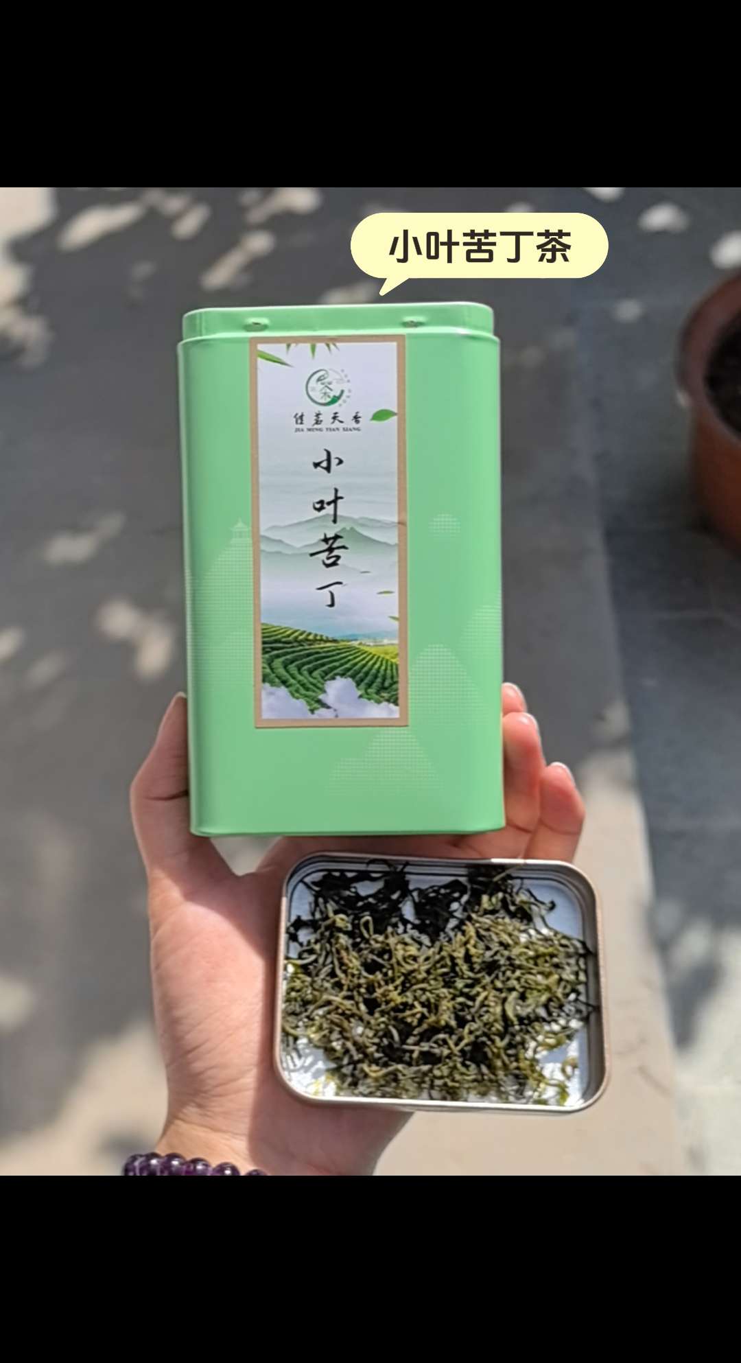 佳茗天香小叶苦丁茶#召唤茶友 #上热搜 #今日分享 #茶香四溢 #今天你喝茶了吗
