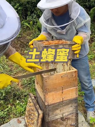 #土蜂蜜 #纯天然无添加 #农家土蜂蜜 #无任何添加剂 #营养丰富