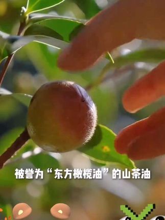 #新农人 #新农人创业