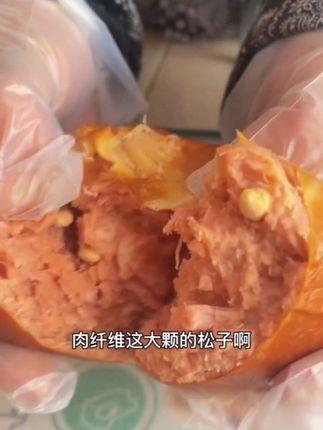 真有松子!90%肉含量的松仁肉肚!太香了!#松仁肉肚 #松仁小肚 #老北京熟食