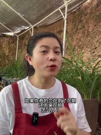如果你养的兰花到了花期,还不来花苞,怎么办? #兰花种植 #促花肥 #磷酸二氢钾