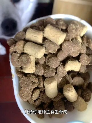 这个价位能给你添加主食生骨肉冻干的真的很划算,还是鸭肉梨配方赶紧试试。#狗粮推荐 #宠熙狗粮