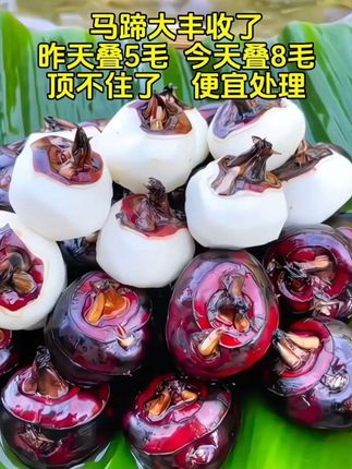 #马蹄 #新鲜马蹄 #好物推荐