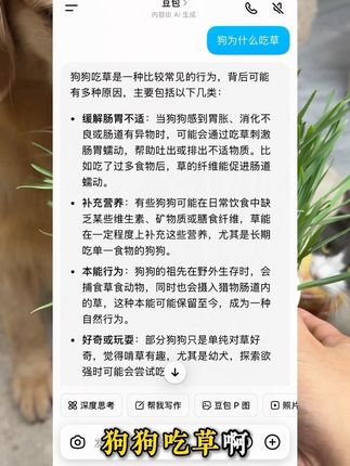 狗狗吃草不仅可以舒缓肠胃!还能补充营养!而且自己种的干净放心还新鲜!又能把肚子里的毛发和脏东西一起排出!养狗狗的铲屎官!强烈推荐给你家的宝贝也种起来#创作灵感 #狗吃草 #养狗经验分享 #新手养狗 #科学养狗