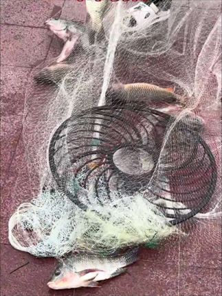 #户外撒网捕鱼 #飞盘撒网#渔网#撒网教学#户外捕鱼  三米两指大飞盘新手老手通用