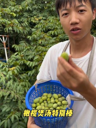 这个时间橄榄来煲汤赞赞的啊#橄榄 #优质农产品 #快来一起尝个鲜