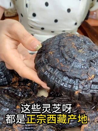 正宗西藏黑灵芝片整个灵芝正品泡水煲汤搭配枸杞