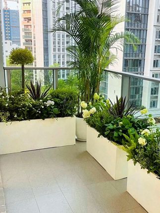 长方形镁泥花盆水泥户外阳台庭院种植花盆景盆种菜花槽水泥花箱 #好物推荐🔥 #长方形镁泥#高档大气上档次 #强烈推荐