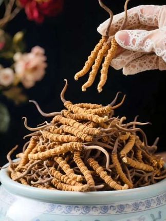 云南虫草参干货|煲汤泡酒优选食材。精选云南地道虫草参干货,又称白虫草、竹节参、草石蚕。干货形态易储存,泡发后质地鲜嫩。无论是煲汤增鲜、泡酒养生,都能释放独特风味与营养。天然好食材,日常滋补、调味皆可,满足多样饮食需求~#虫草参 #云南虫草参 #你见过吗 #强烈推荐 #煲汤