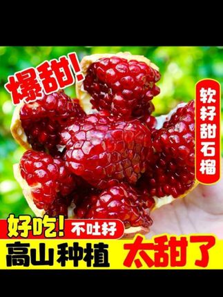 四川正宗软籽石榴当季红宝石无籽石榴#快来一起尝个鲜 #应季水果 #软糯香甜 #新鲜采摘 #每日分享