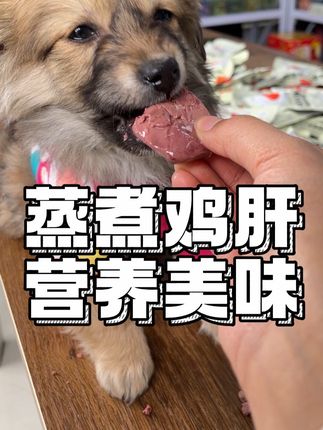 小猫小狗都爱吃的鸡肝,你们赶紧来薅啊#鸡肝 #宠物零食 #新手养狗#新手养猫