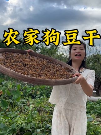 #抖音助农 #我为家乡农产品代言 农家狗豆干,种植容易但是人工去皮晒干好难,要好多才可以晒成一点,条条精挑细选给大家安排发出的,可以拿来炖肉煲骨头汤味道一流#狗豆干#土特产 #农家美食