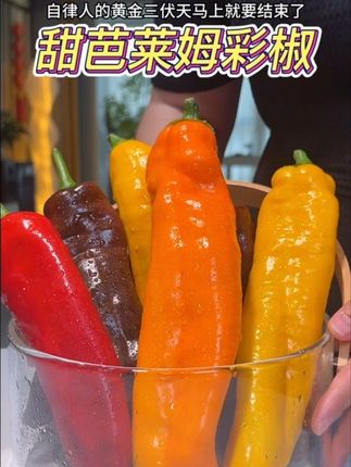 这个甜芭莱姆彩椒只有你吃过才知道,它到底有多脆多甜,口口爆汁,满满的维c,高膳食纤维,管理期饿了馋了随时来一个,好吃还没负担#甜芭莱姆彩椒 #彩椒 #水果彩椒 #口感特别好 #新鲜应季水果