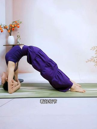 #瑜伽 《肘轮》