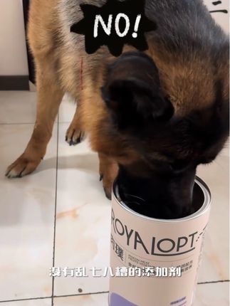 #肉璞 #肉璞犬粮