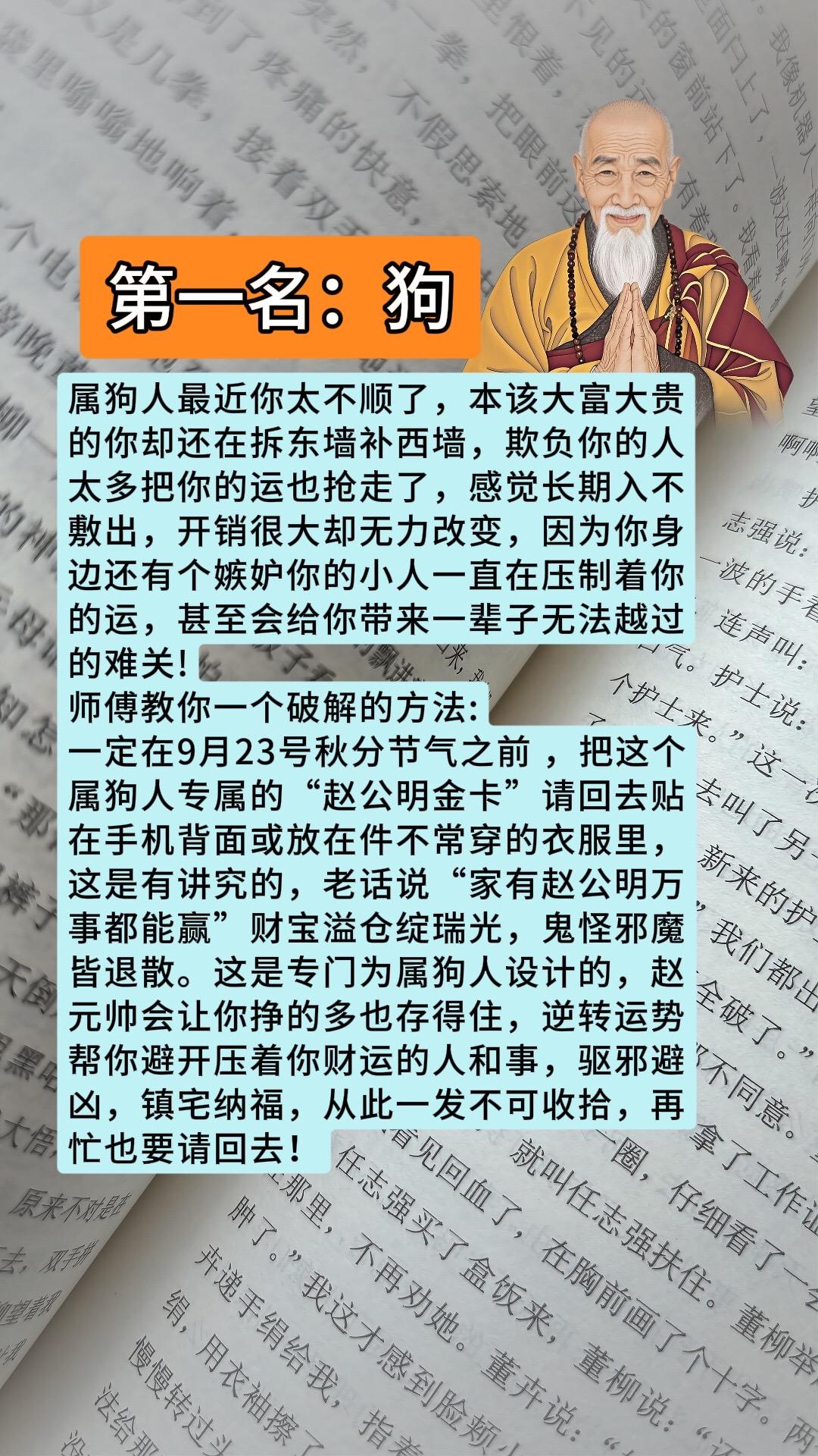 #狗 #属狗 #生肖狗