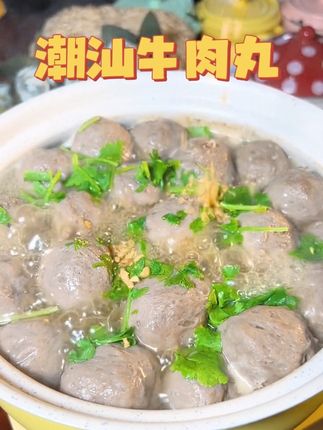 醉爱丸正宗潮汕牛肉丸牛筋丸新鲜手工爆汁聚餐露营火锅低脂高蛋白#牛肉丸 #潮汕牛肉丸 #地方特色美食 @抖加🔥上热门🔥dou+🔥热点宝 @抖音小助手