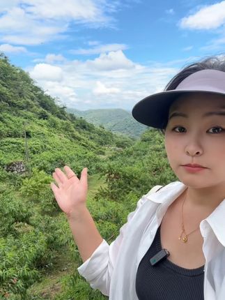 高山黄桃现摘现发