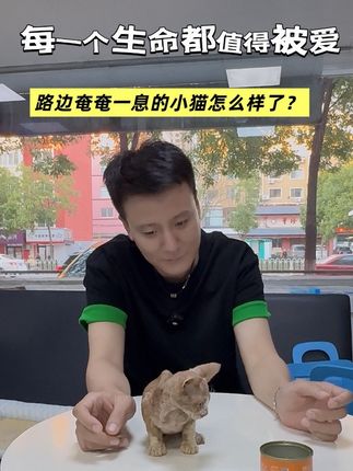 无毛小猫被遗弃路边冻了一晚奄奄一息 #流浪猫 #流浪猫救助 #关爱流浪动物 #vlog十亿流量扶持计划