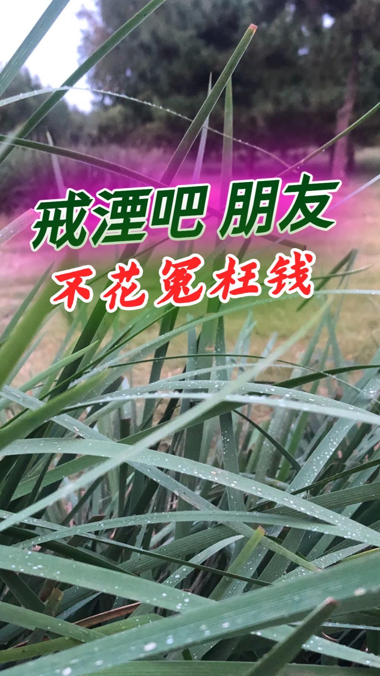 #分享 #知识分享 #日常生活 #国庆 #糖果