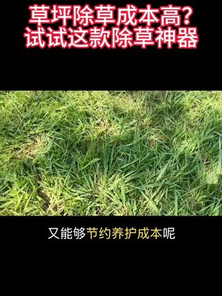 草坪除草成本高?试试这款除草神器@抖音小助手