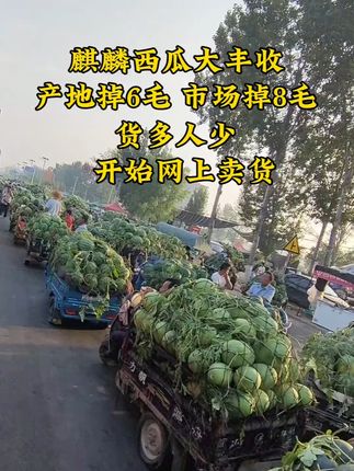 #西瓜。#麒麟西瓜特别甜 #优质农产品原产地 #源头好货在这里 #家乡特产。