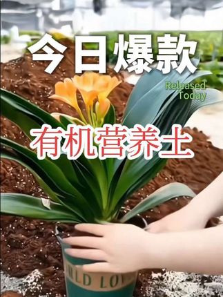 养花种菜,土壤是关键,这款有机营养土疏松透气不板结,富含营养,用了它植物根茎强壮,枝叶茂盛,关键现在厂家做活动,最低1块7毛五一袋包邮,100斤才34块多,实惠又好用