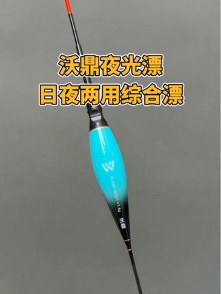 沃鼎日夜两用电子漂#电子漂 #夜光漂 #浮漂 #浮漂鱼漂 #沃鼎钓具