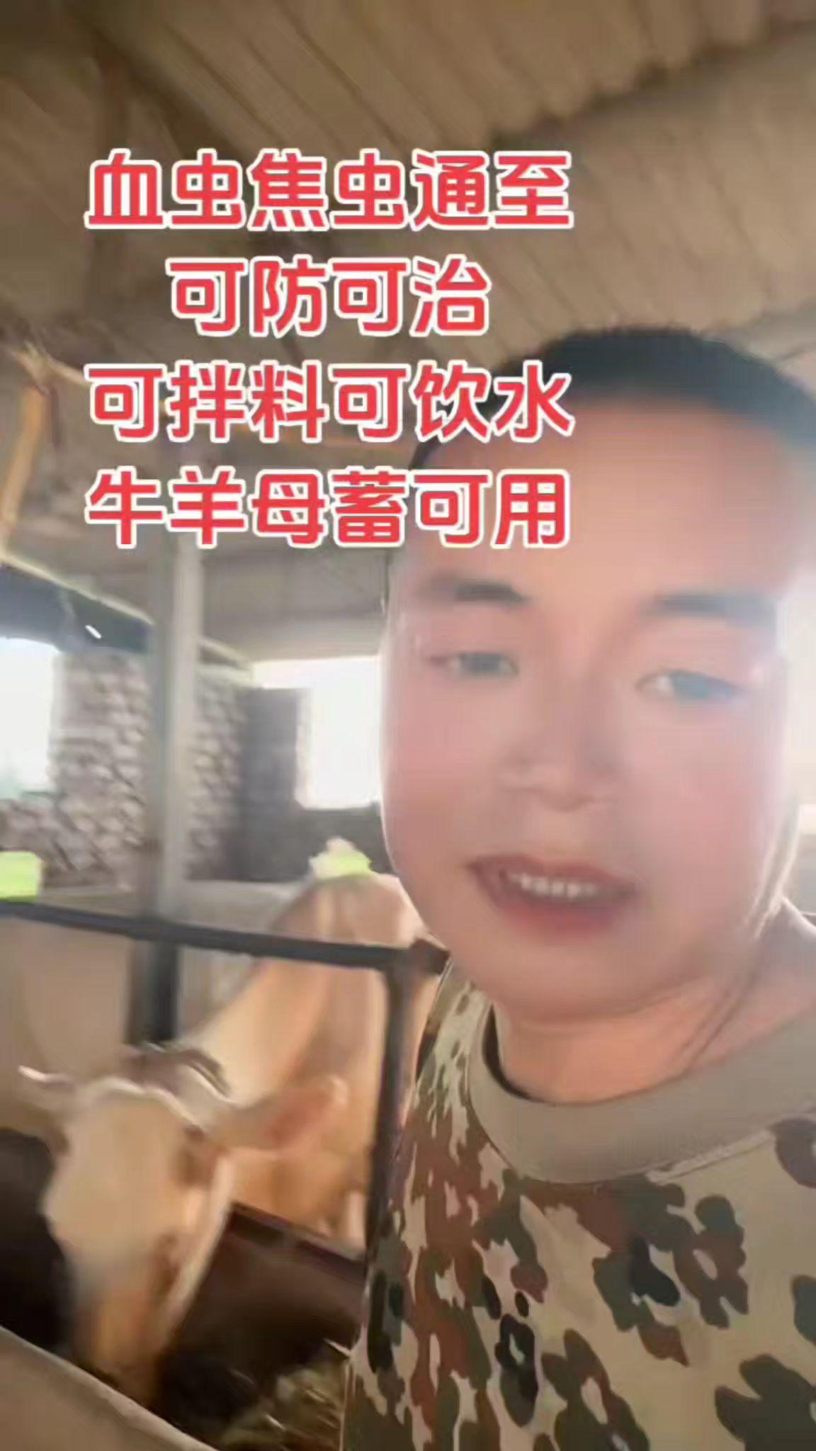 血虫焦虫可防可治,母蓄可用,可拌料可饮水,让你在养殖路上少走弯路#养殖#养牛人#自繁自养