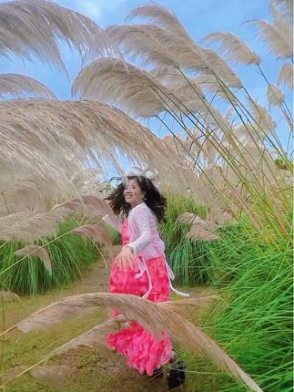 走过这片芦苇坡,你可曾听说,有一位姑娘,她留下一首歌。一首百听不厌的歌#芦苇 #感受大自然的气息和美景#一首歌一个故事 #丹顶鹤