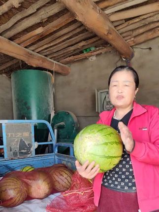 甘肃特产沙地籽瓜。它是一种温性瓜。大人小孩,孕妇老人都可吃。