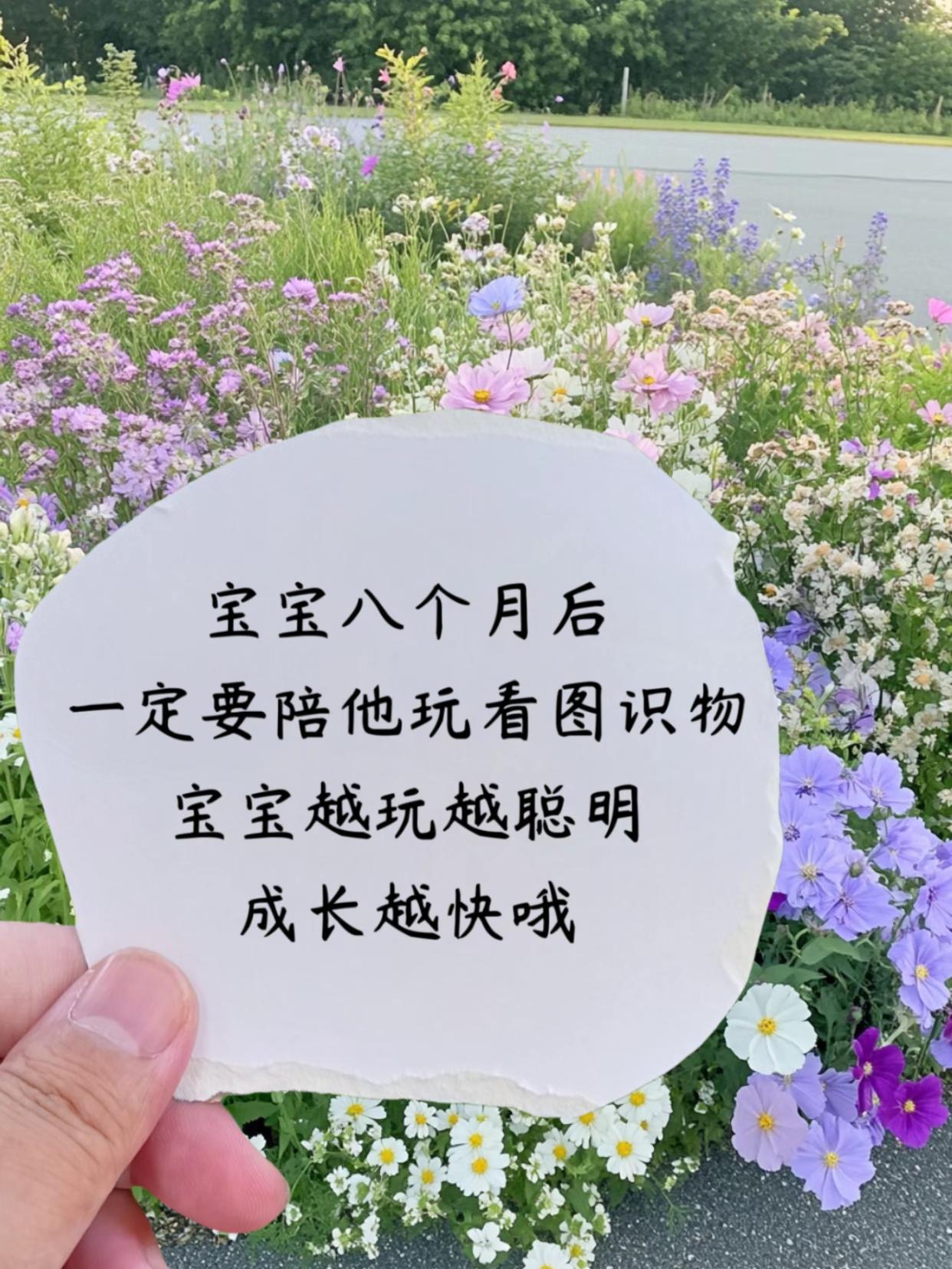 #益智早教 #启蒙教育 #育儿早教 #儿童玩具 #抖音推广