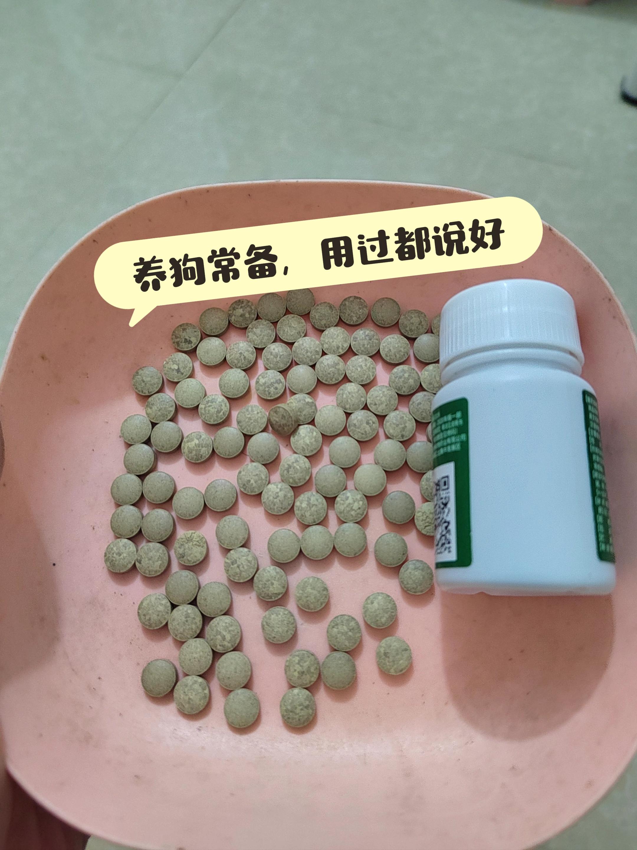 #养狗经验分享 #养狗日常 #新人养狗#狗狗用品#养宠进阶指南
