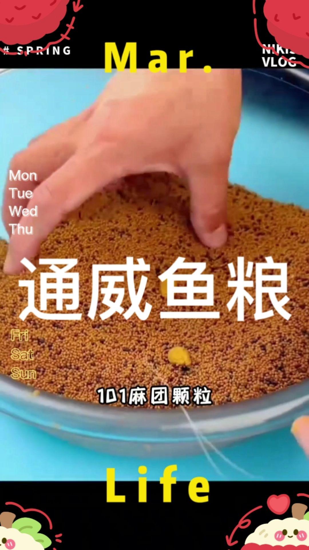 通威101麻团颗粒 1mm毫米鱼饲料腥味小颗粒原塘黑坑钓饵虾粮缓沉#美食冷知识 #日常饮食小常识 #每天分享科普知识 #快来看看