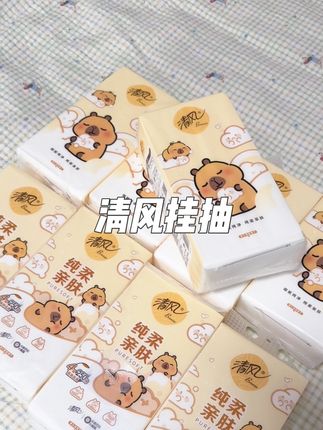 不是大牌买不起,而是清风更有性价比,清风卡皮巴拉悬挂式抽纸,29.9到手十提满满一大箱#好物推荐🔥 #爆款热卖中 #清风 #悬挂式抽纸 #纸巾