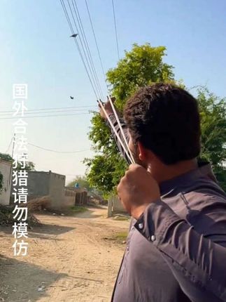 最终没能逃脱命运的枷锁#弹弓 #弹弓爱好者 #国外合法狩猎 #请勿模仿 #该行为存在风险