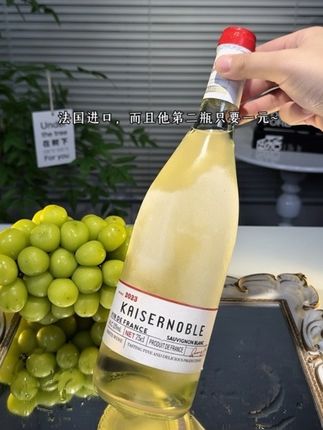 凯萨贵族半甜白太绝了!开瓶果香超浓郁,入口甜润不腻,酸度刚好,喝起来清爽又顺口,姐妹小聚或自己小酌都超合适,一喝就爱上!#半甜白#强烈推荐#仙女都在喝什么 #敬自己一杯好酒