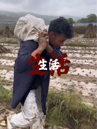 今日无文案#我的乡村生活 #我的观影报告 #我的生活日记 #农村生活